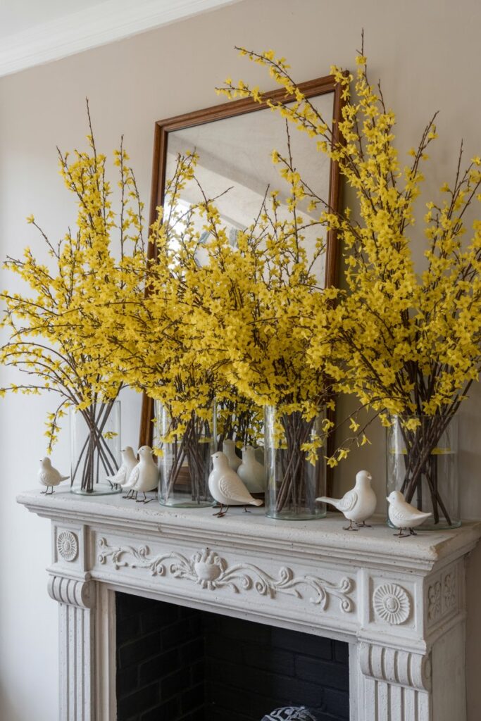 Forsythia Festivity