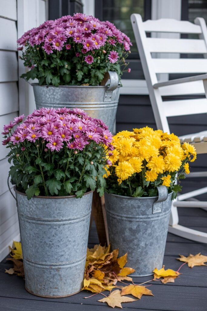 Galvanized Bucket Mums