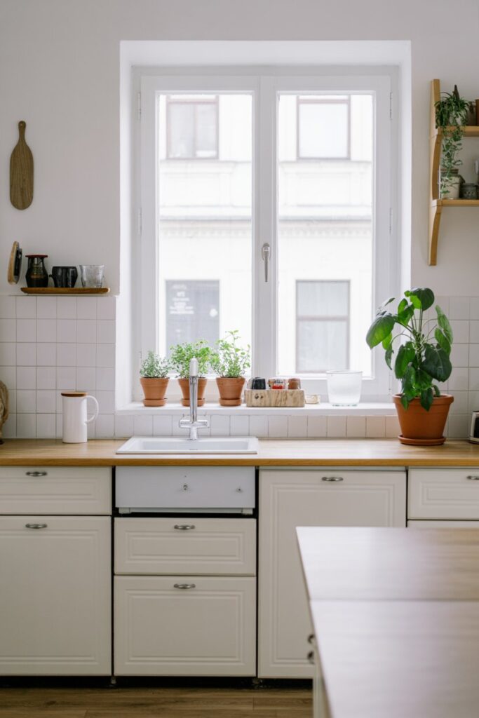 Potted Greenery & Herbs