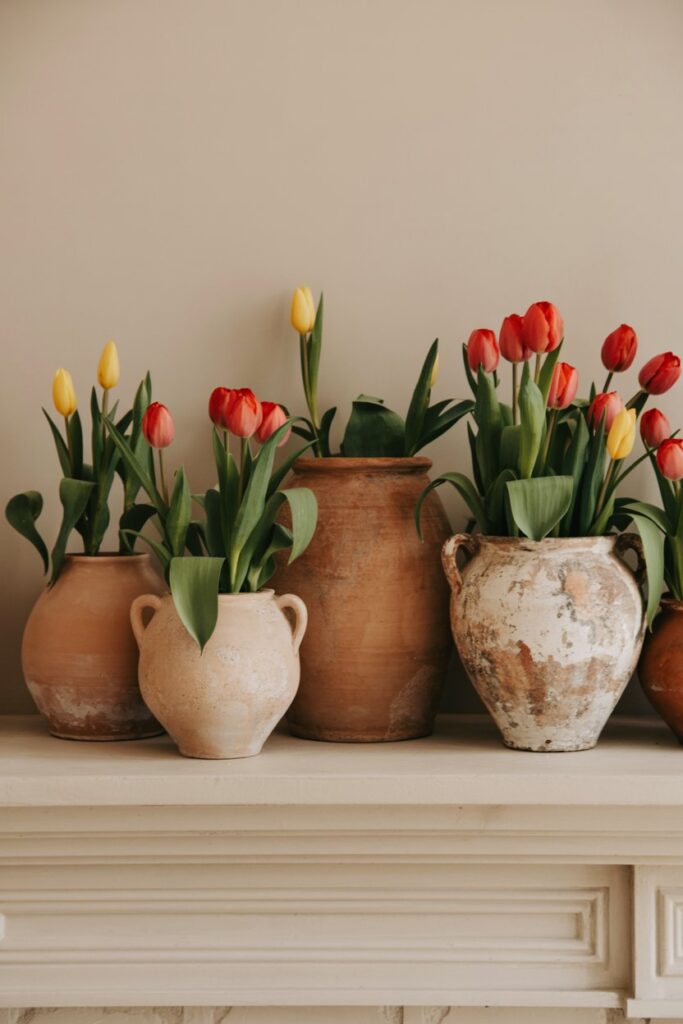 Terracotta and Tulips