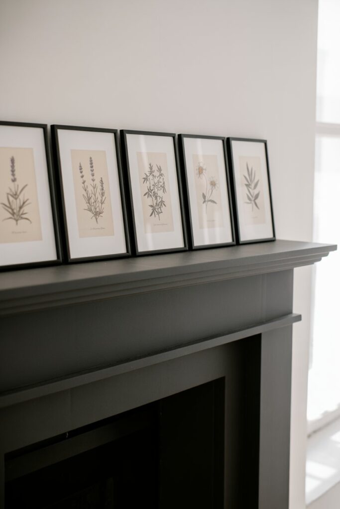 The Botanical Gallery