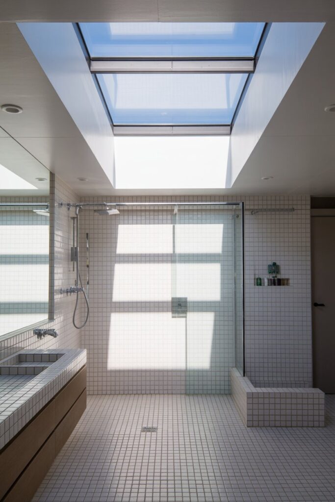 The Sky-View Skylight