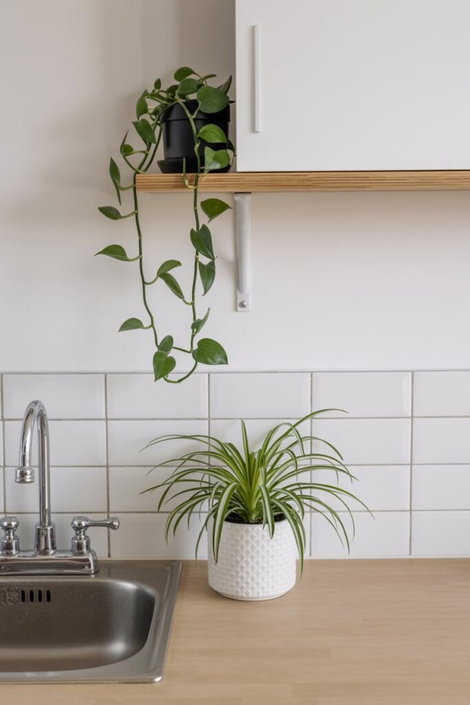 Introduce Greenery for Life and Air